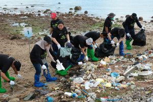 Peringati Hari Lingkungan Hidup Sedunia, PLN Batam Gelar Aksi Bersih di Pantai Tanjung Uma