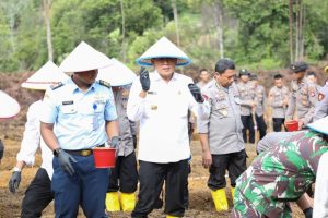 Pjs Wali Kota Batam Ikut Tanam Jagung Launching Gugus Tugas Polri Mendukung Ketahanan Pangan