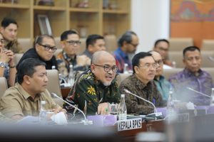 Ini Penjelasan BP Batam, Komisi VI Tunda RDP Minta Kehadiran Rudi