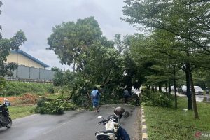Pemko Batam Imbau Masyarakat Tetap Waspada Cuaca Ekstrem