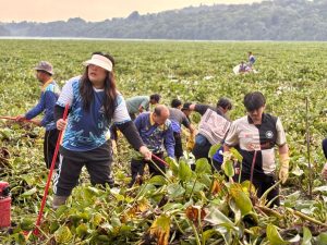 Aksi BP Batam Bersihkan Waduk Duriangkang, Jaga Kualitas Sumber Air